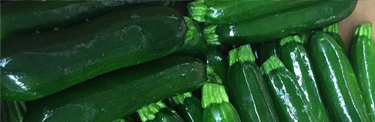 Calabacín orgánico