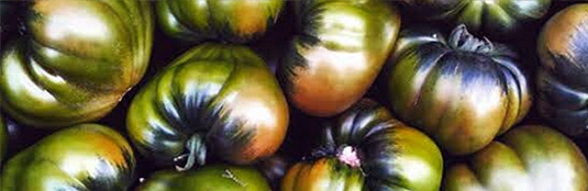 Tomate orgánico